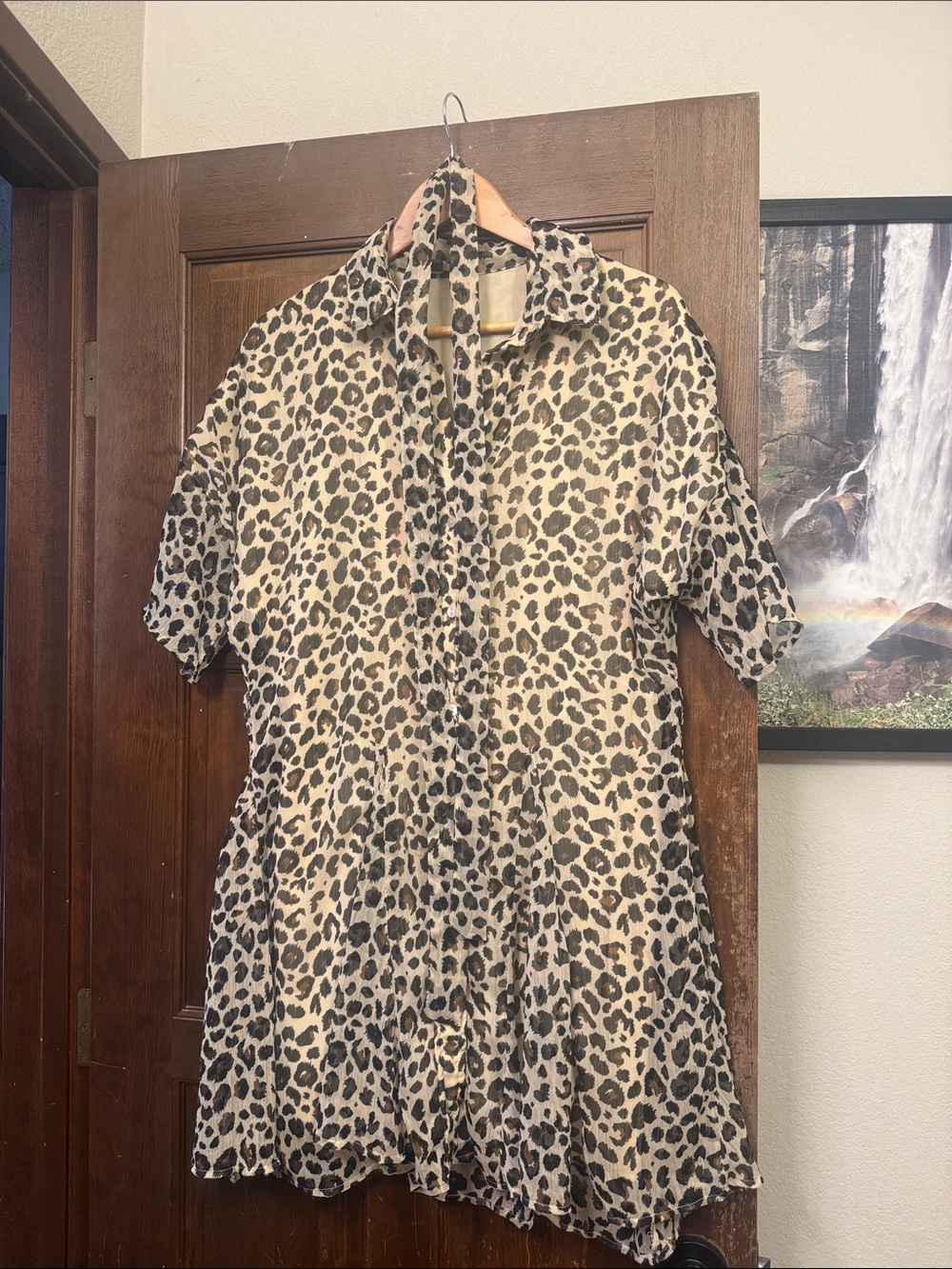 Leopard Print Button-Front Shirt Dress